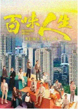 热播剧集5